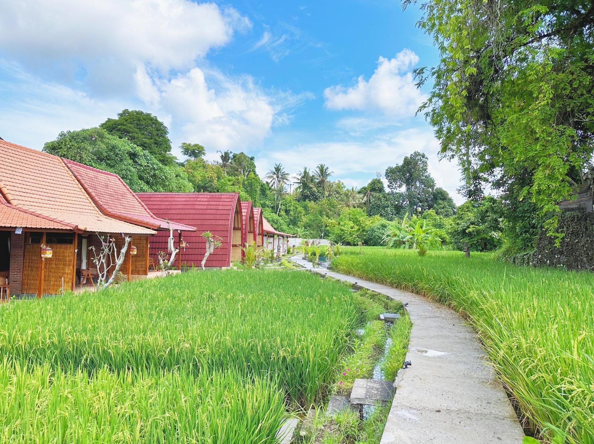 أوبود Uma Raos Cottage المظهر الخارجي الصورة